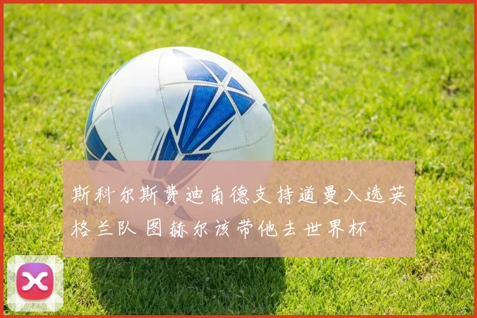 斯科尔斯费迪南德支持道曼入选英格兰队 图赫尔该带他去世界杯